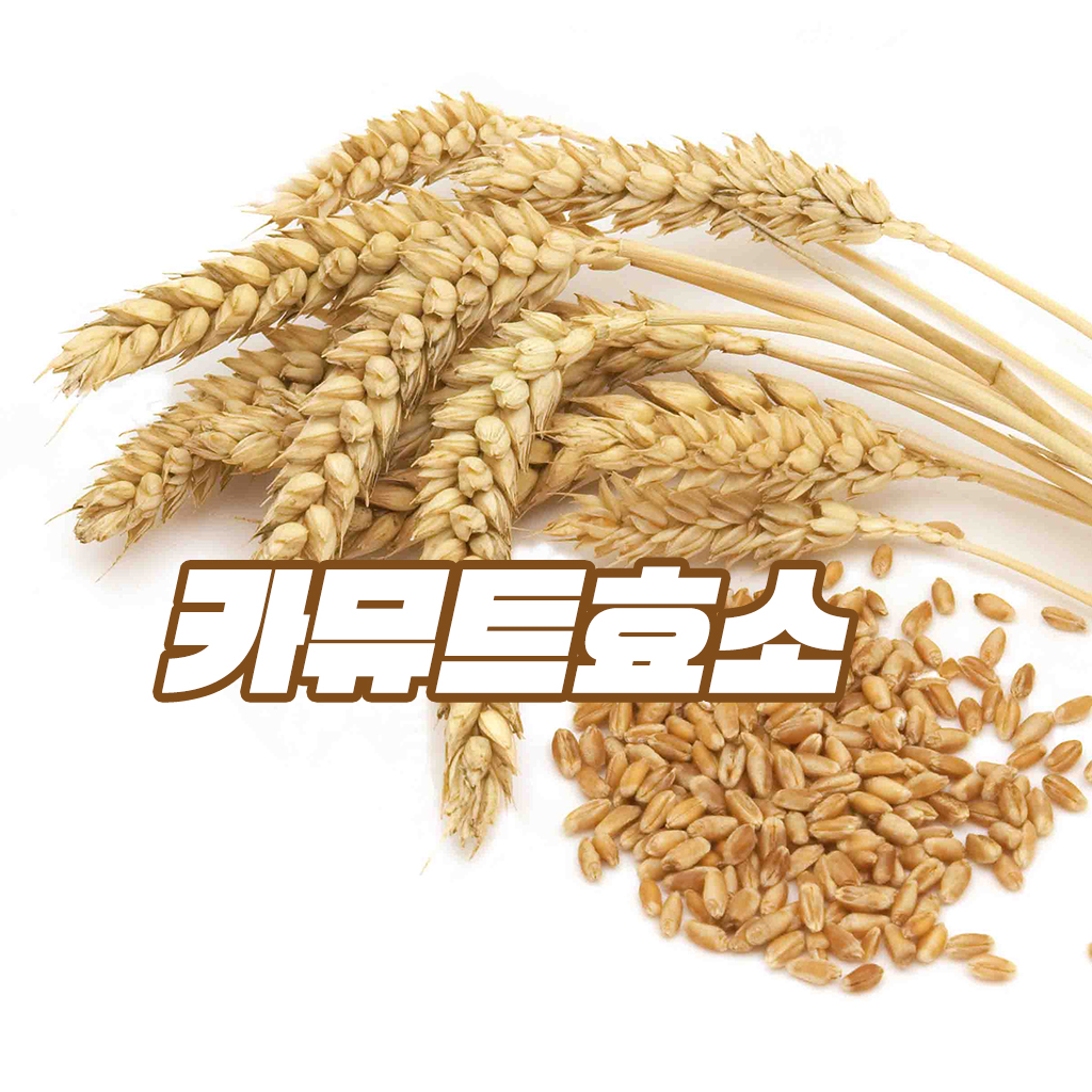  카무트효소 효능, 부작용, 가격 등 알아보자