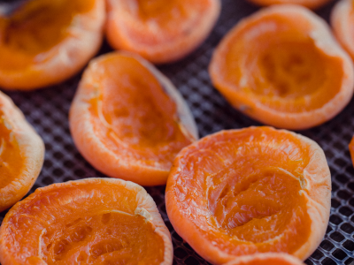 살구 효능 10가지 17