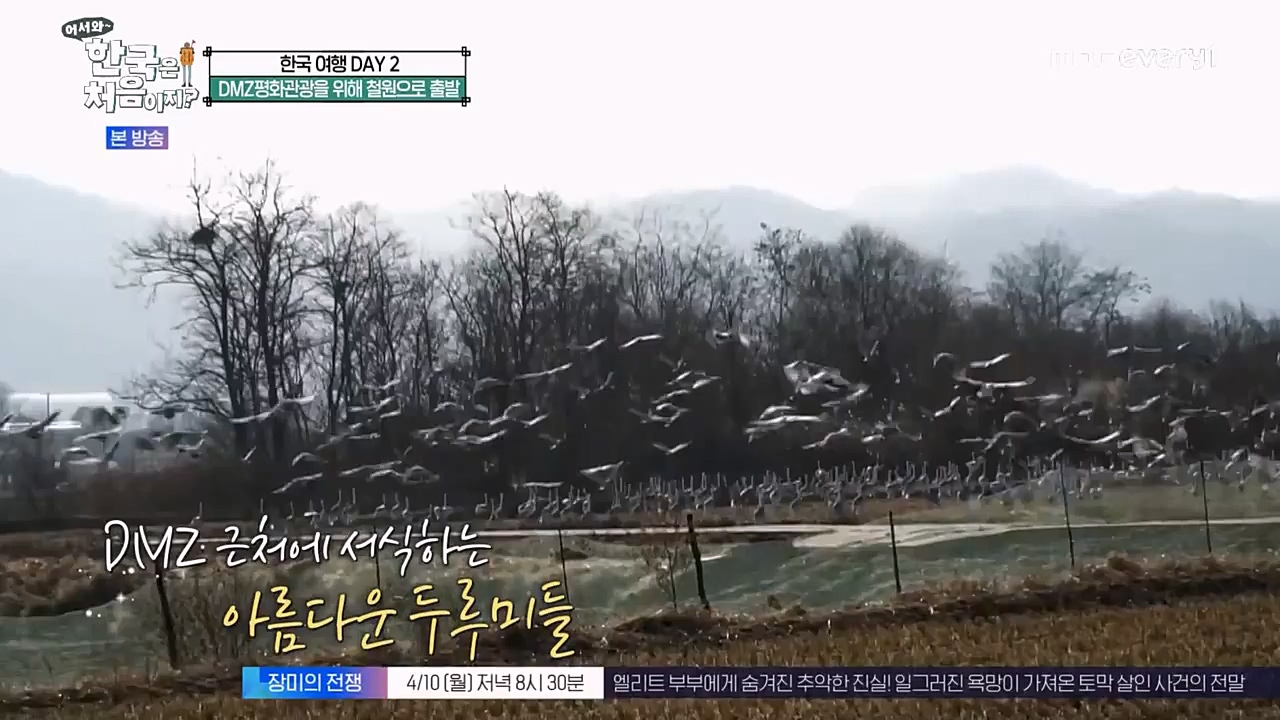 어서와 한국은 처음이지 시즌2.E257.230407p-NEXT.mp4_20230407_200605.371.jpg