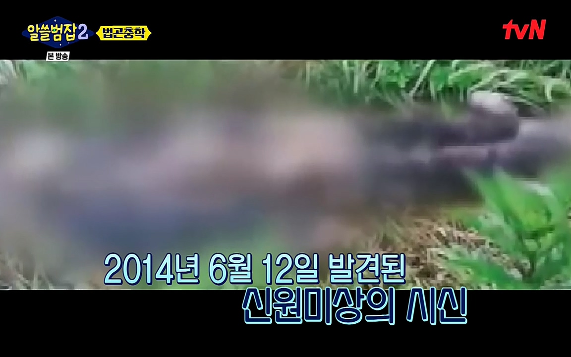 알쓸범잡 2.E15.220425p-NEXT.mp4_20220425_181511.738.jpg