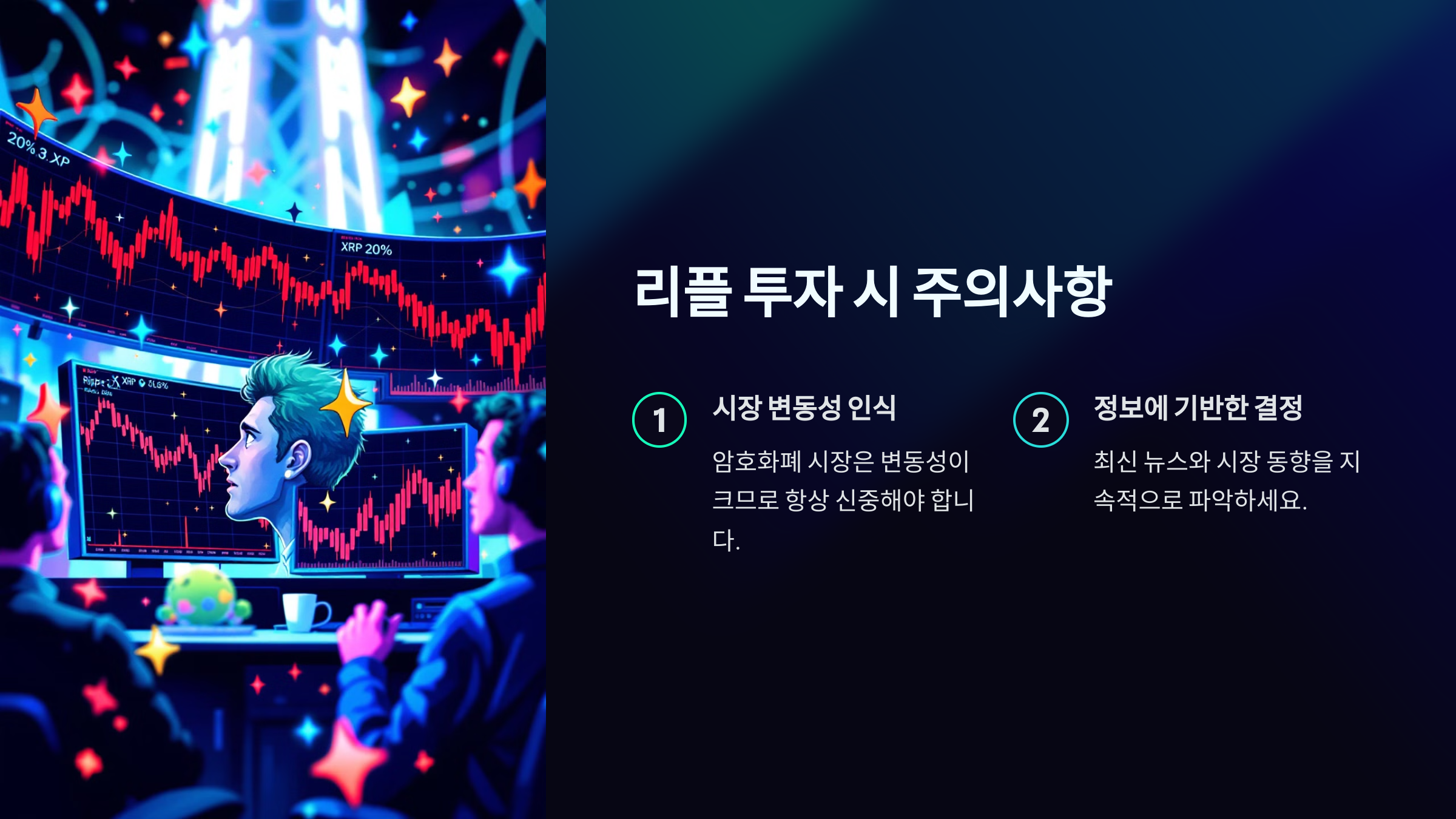 리플 투자 시 주의사항