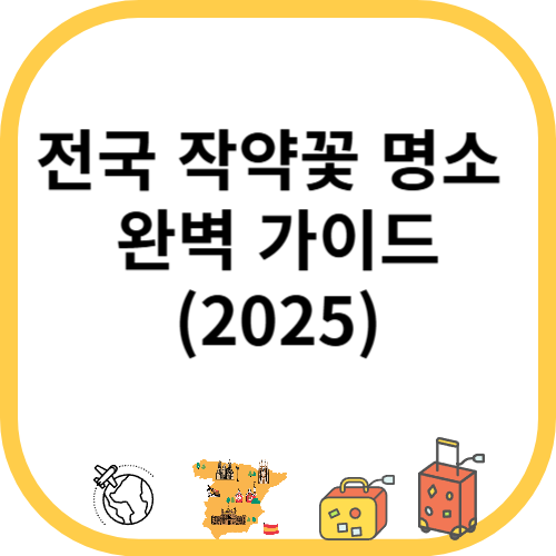 2025 전국 작약꽃 명소 완벽 가이드