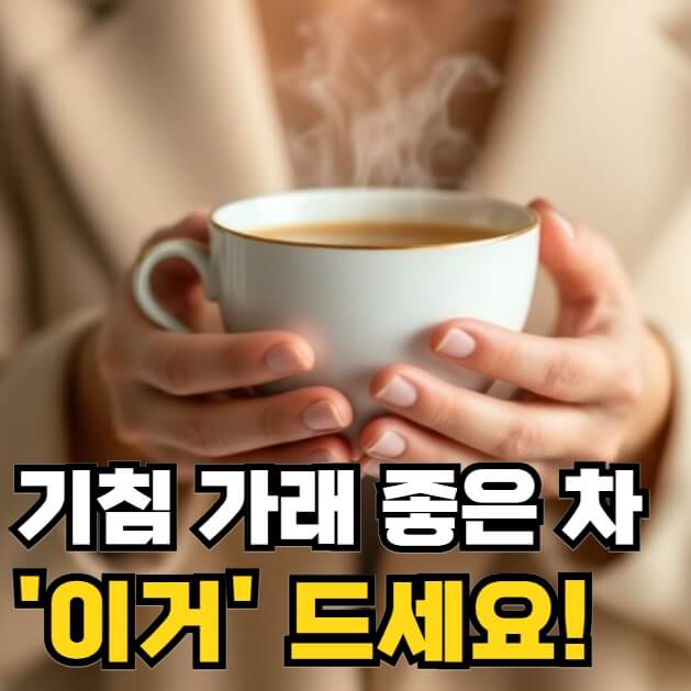 기침 가래에 좋은 차