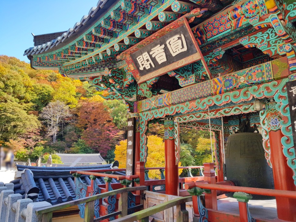 장소! 칠불사의 가을 풍경을 감상하세요:) 하동칠불사의 가을 멋진 자태를 품은 31