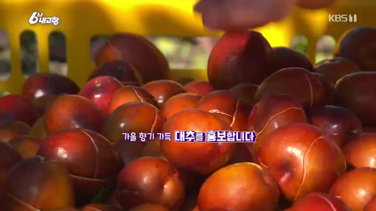 6시 내고향.E7640.221019p.H264-F1RST.mp4_20221020_163926.723.jpg