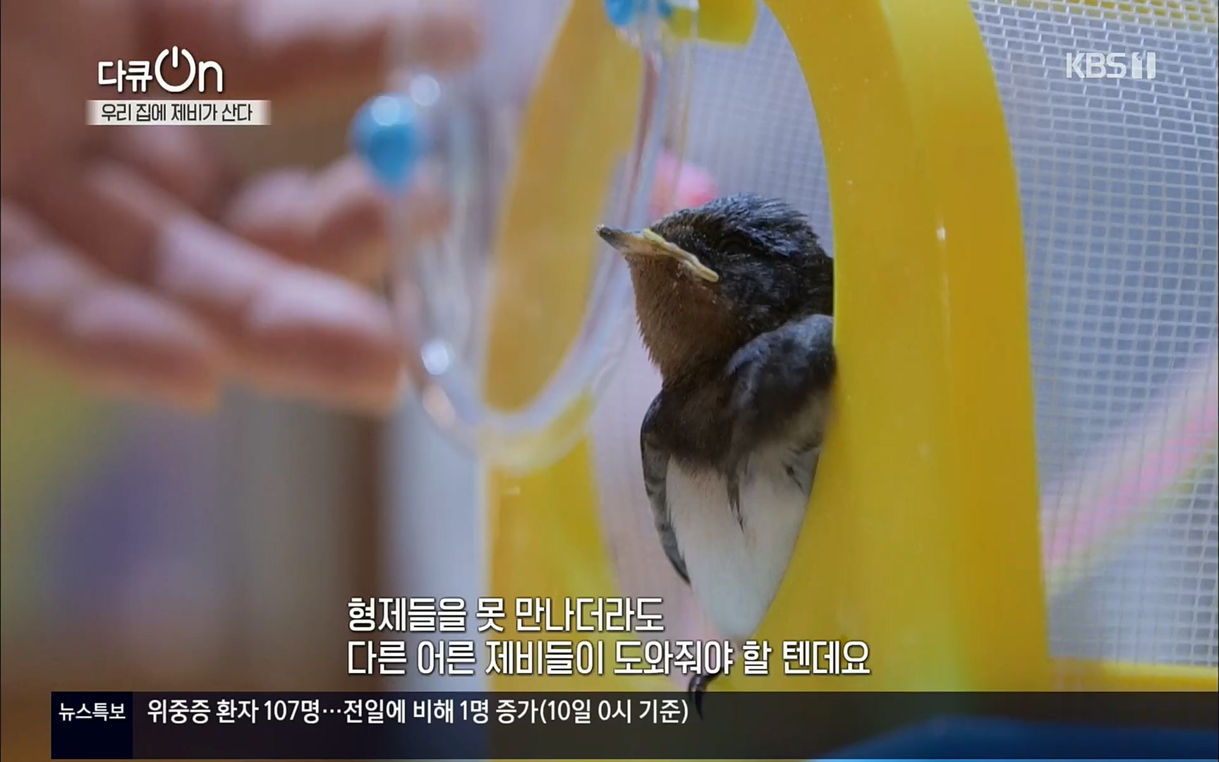 다큐 On.E143.220610p.H264-F1RST.mp4_20220613_202644.229.jpg