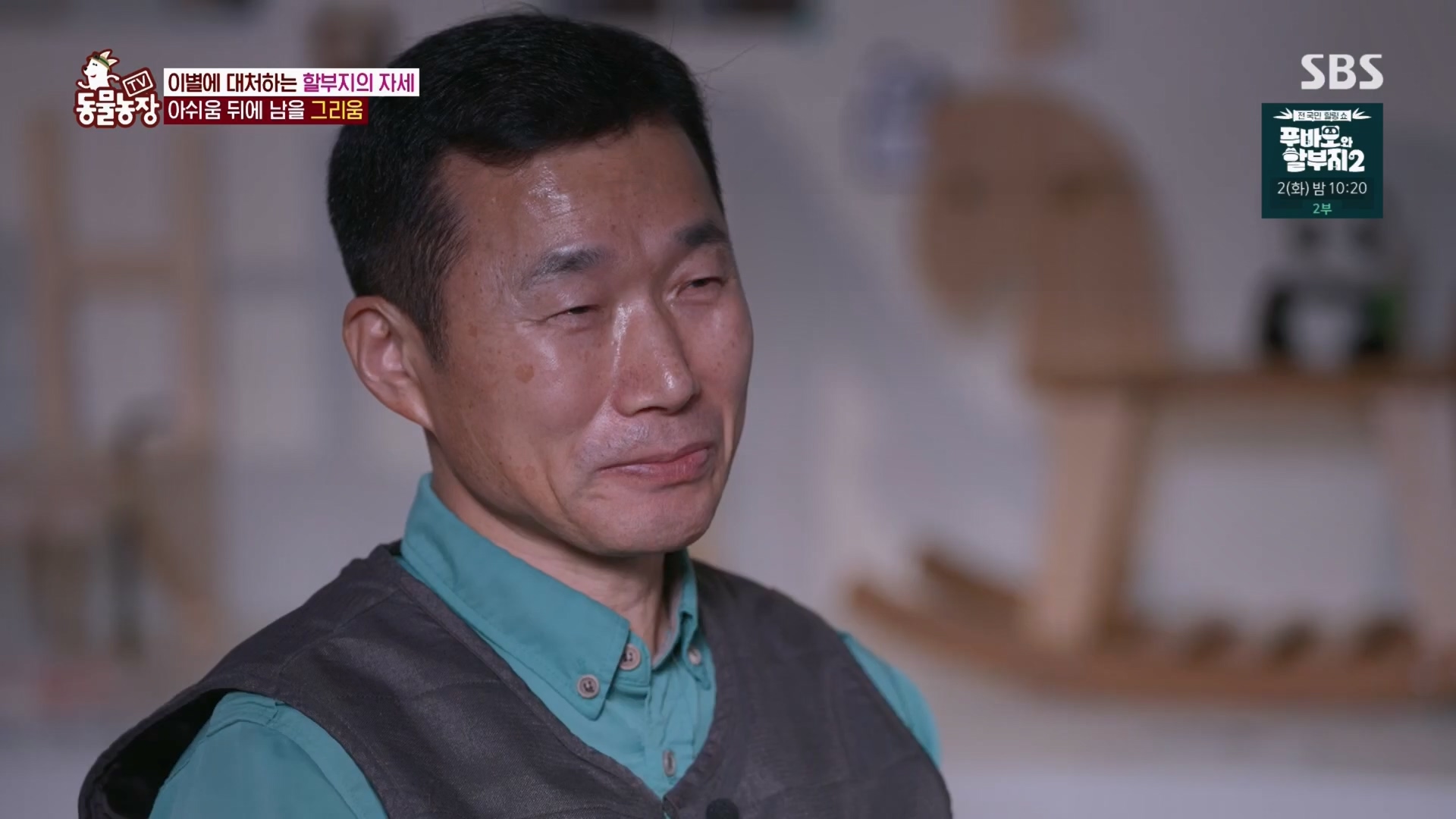 TV 동물농장.E1165.240331p.H264-F1RST.mp4_20240331_144359.193.jpg