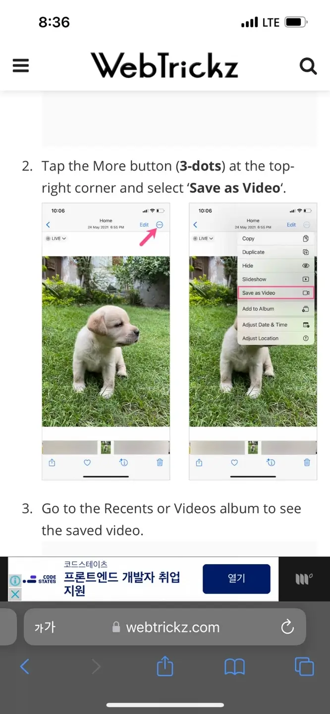 아이폰16-라이브포토