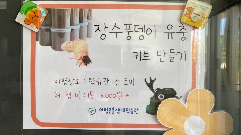 풍뎅이유충키트만들기안내