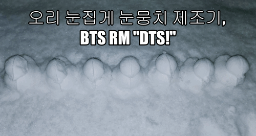  오리 눈집게 눈뭉치 제조기, BTS RM "DTS!"
