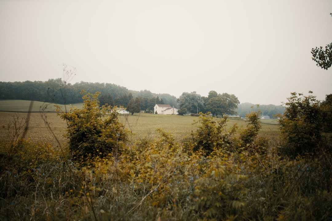 Mapleland