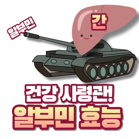 알부민 효능