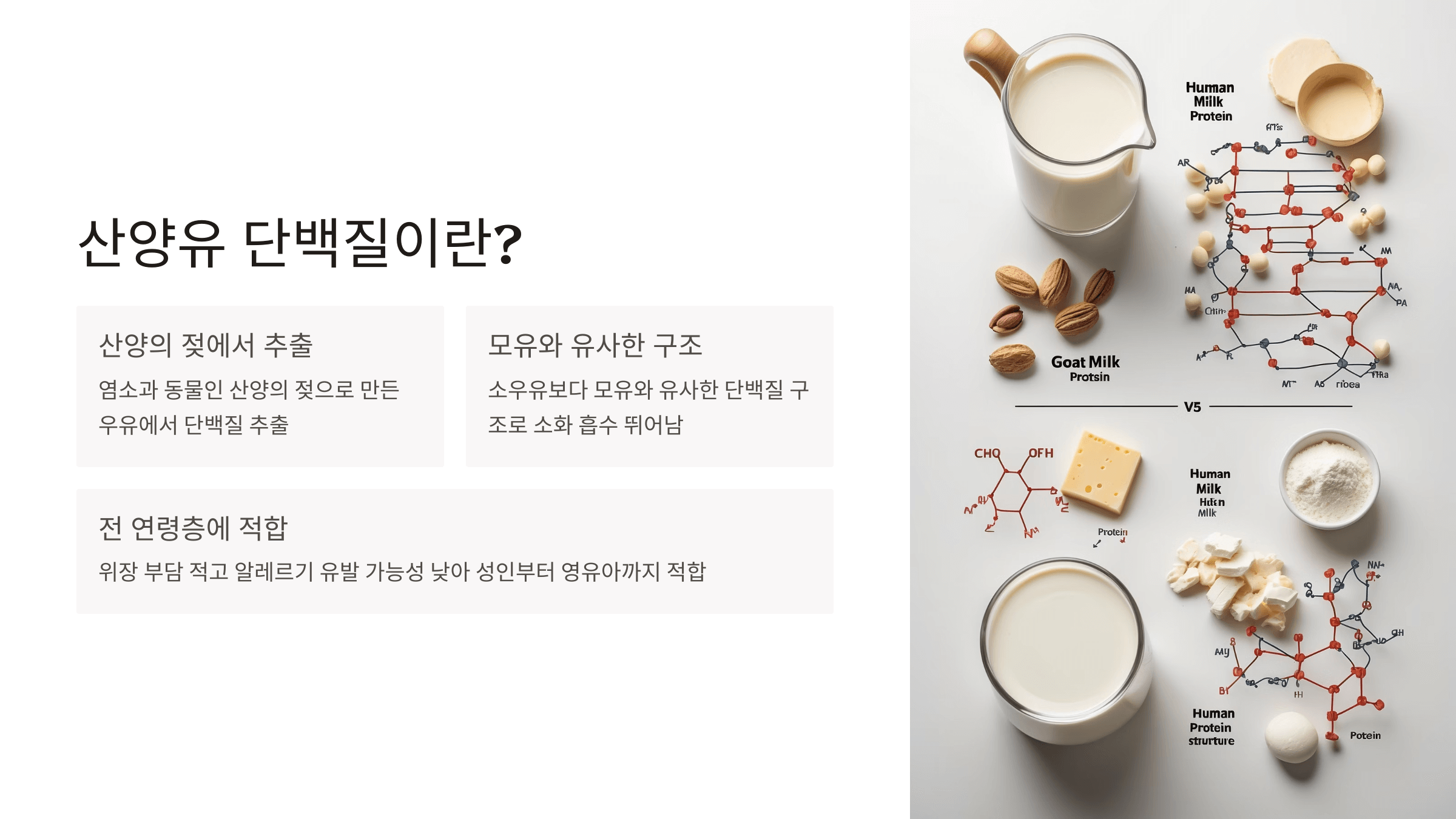 산양유 단백질과 관련된 사진입니다.
