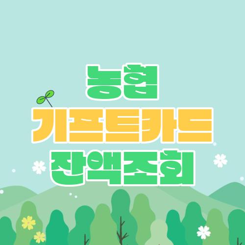 농협 기프트카드 잔액조회