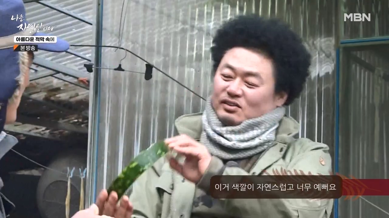 나는 자연인이다.E583.231207p-NEXT.mp4_20231207_195359.469.jpg