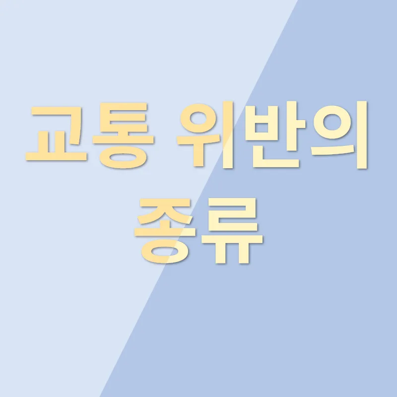 교통위반_1_subsection