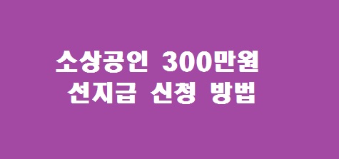소상공인 300만원 선지급신청