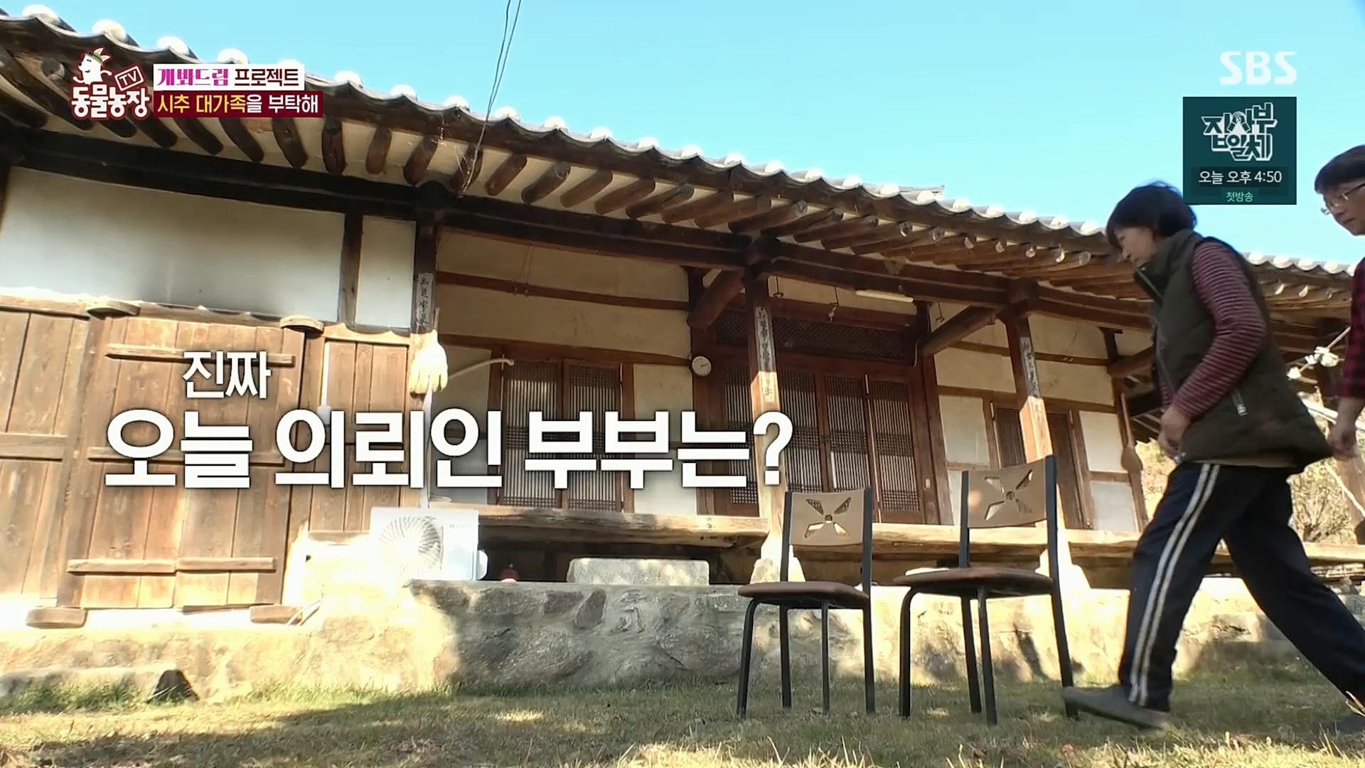 TV 동물농장.E1102.230101p.H264-F1RST.mp4_20230101_182843.852.jpg