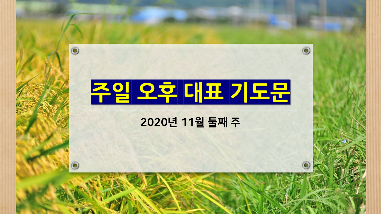  주일오후대표기도문 2020년 11월 둘째주