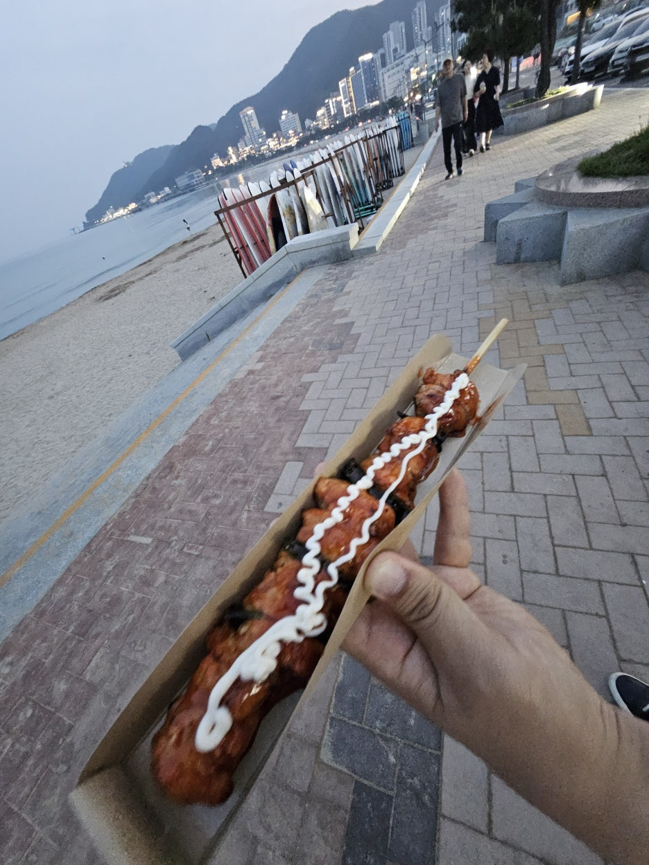 감성돼지 이미지