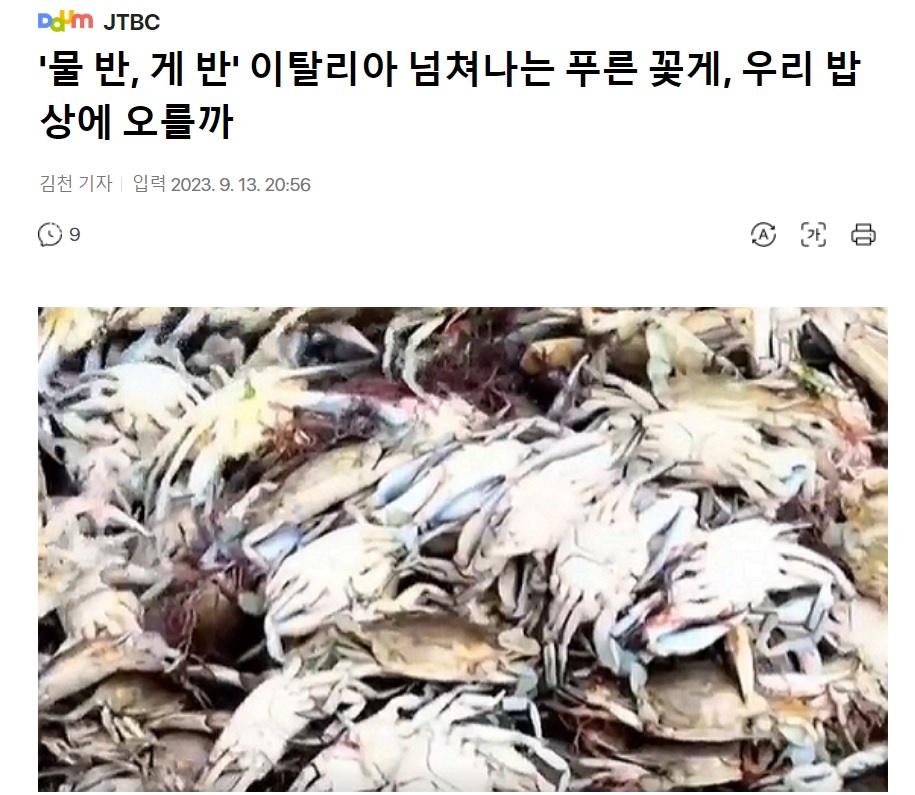 꽃게나라 이미지