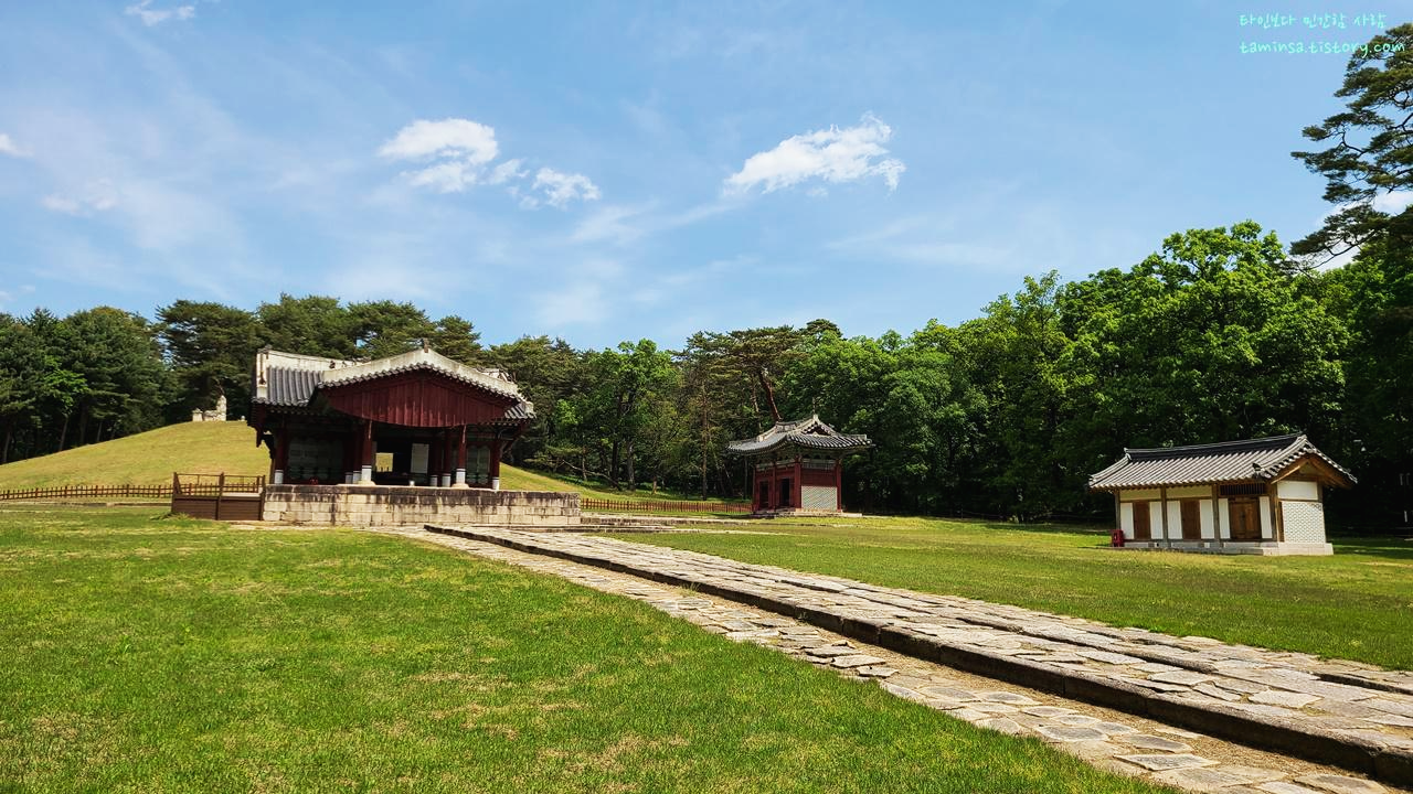 동구릉숲길개방