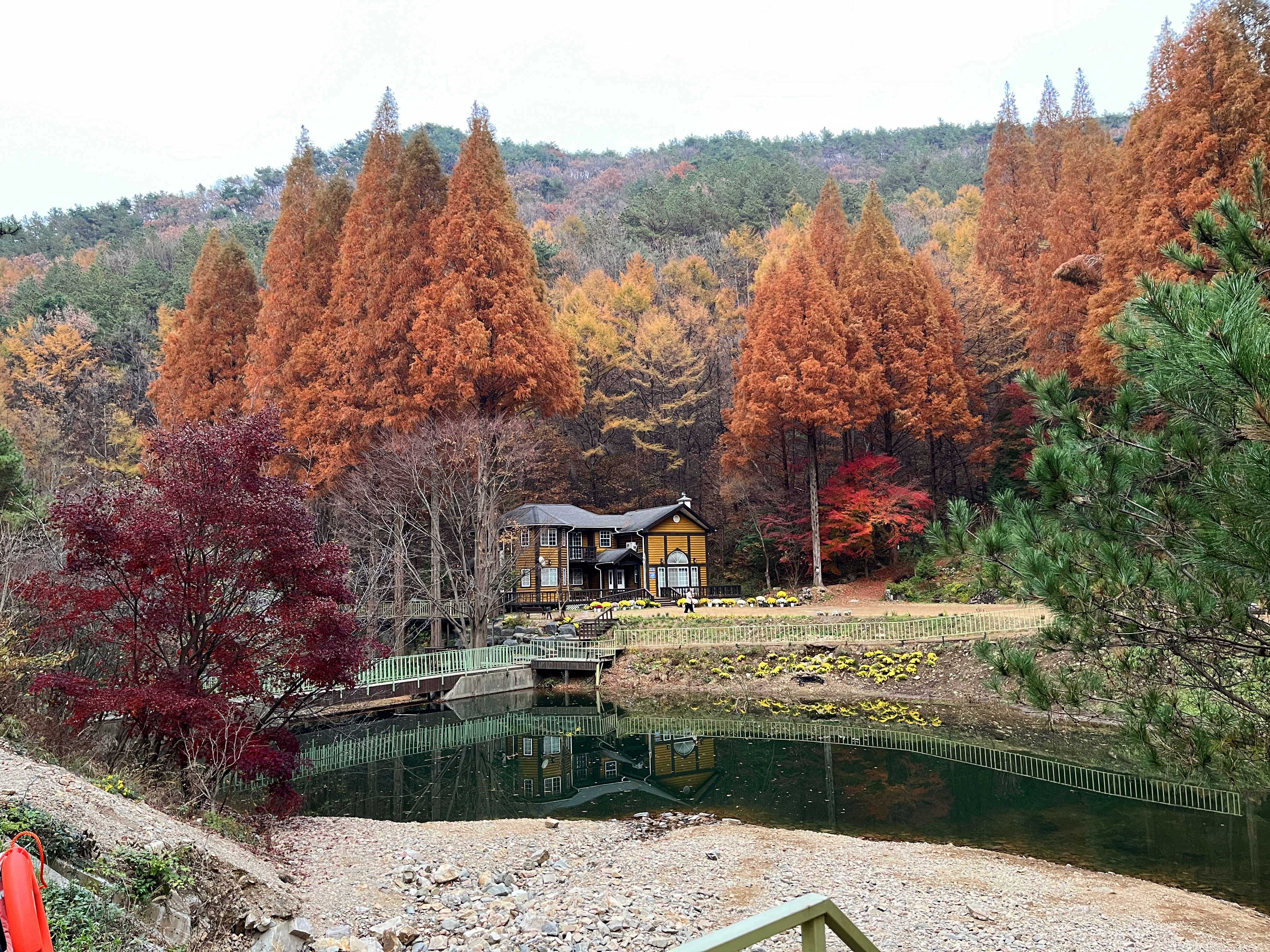 온빛자연휴양림