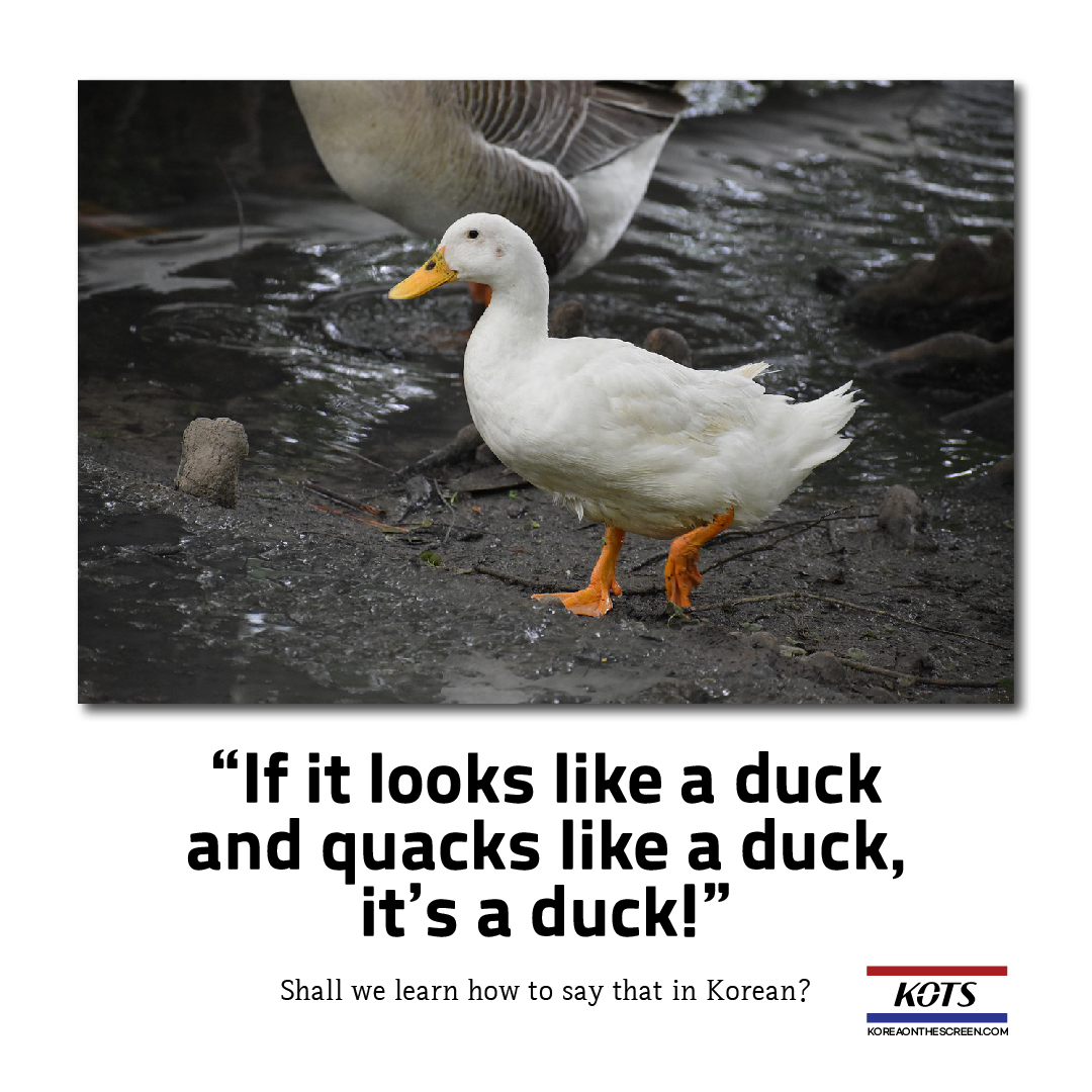  If it looks like a duck and quacks like a duck. it's a duck!