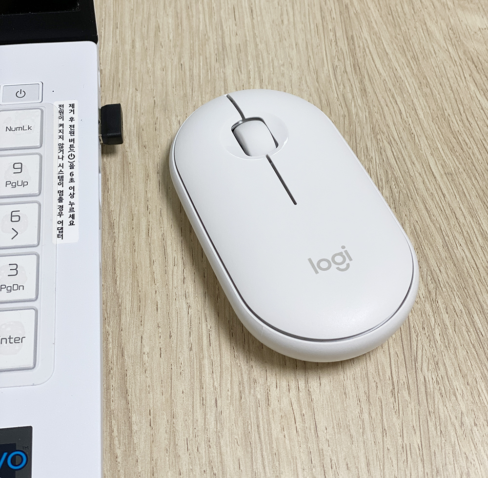 로지텍 페블 m350 블루투스 무소음 마우스, 노트북용 추천