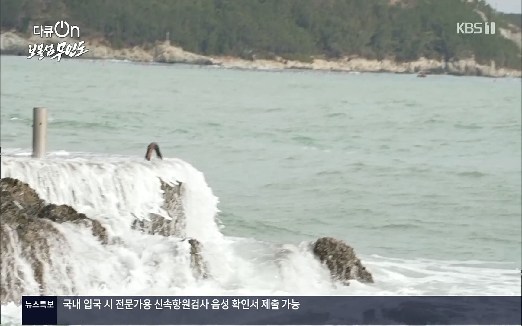 다큐 On.E141p.H264-F1RST.mp4_20220530_202709.415.jpg