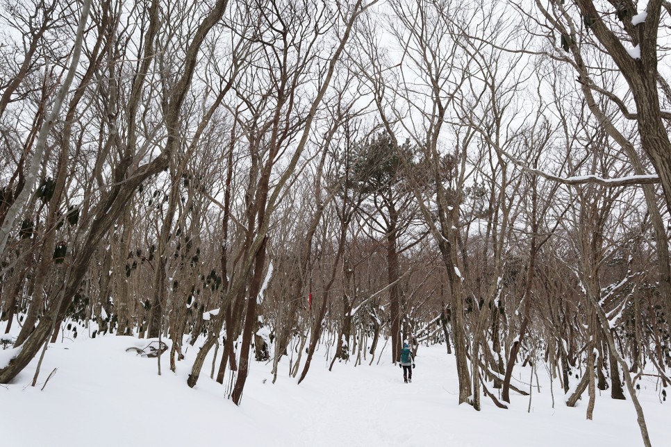 눈쌓인 겨울산 이미지 19