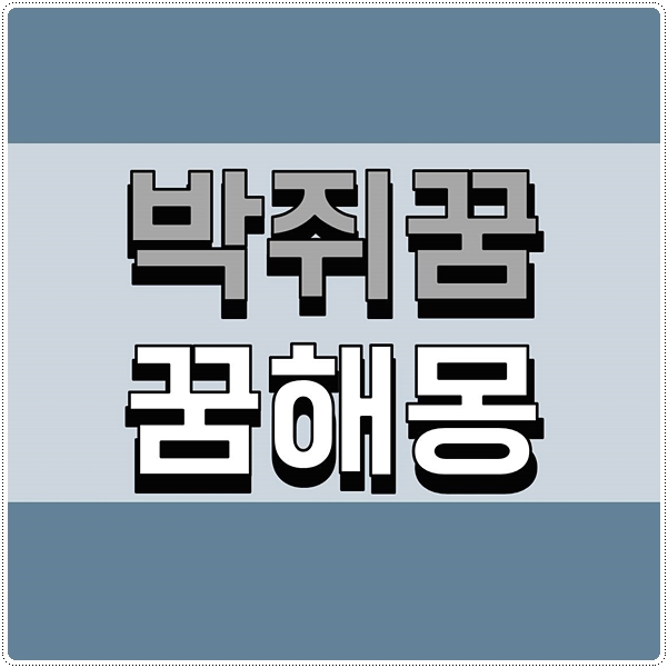  박쥐꿈 꿈해몽 참새꿈 새꿈 총정리