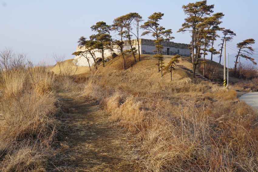 돈대에 더 근접해 간 사진, 휜 석축, 그 앞에 소나무들, 푸른 하늘, 앞쪽엔 덤불, 잡목,