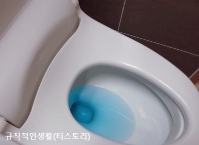 화장실-변기-파란물