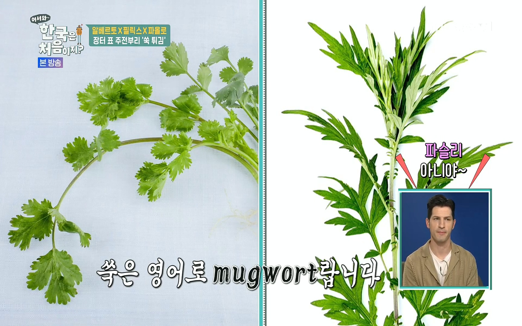 어서와~ 한국은 처음이지.E250.220630p.H264-F1RST.mp4_20220701_200844.336.jpg