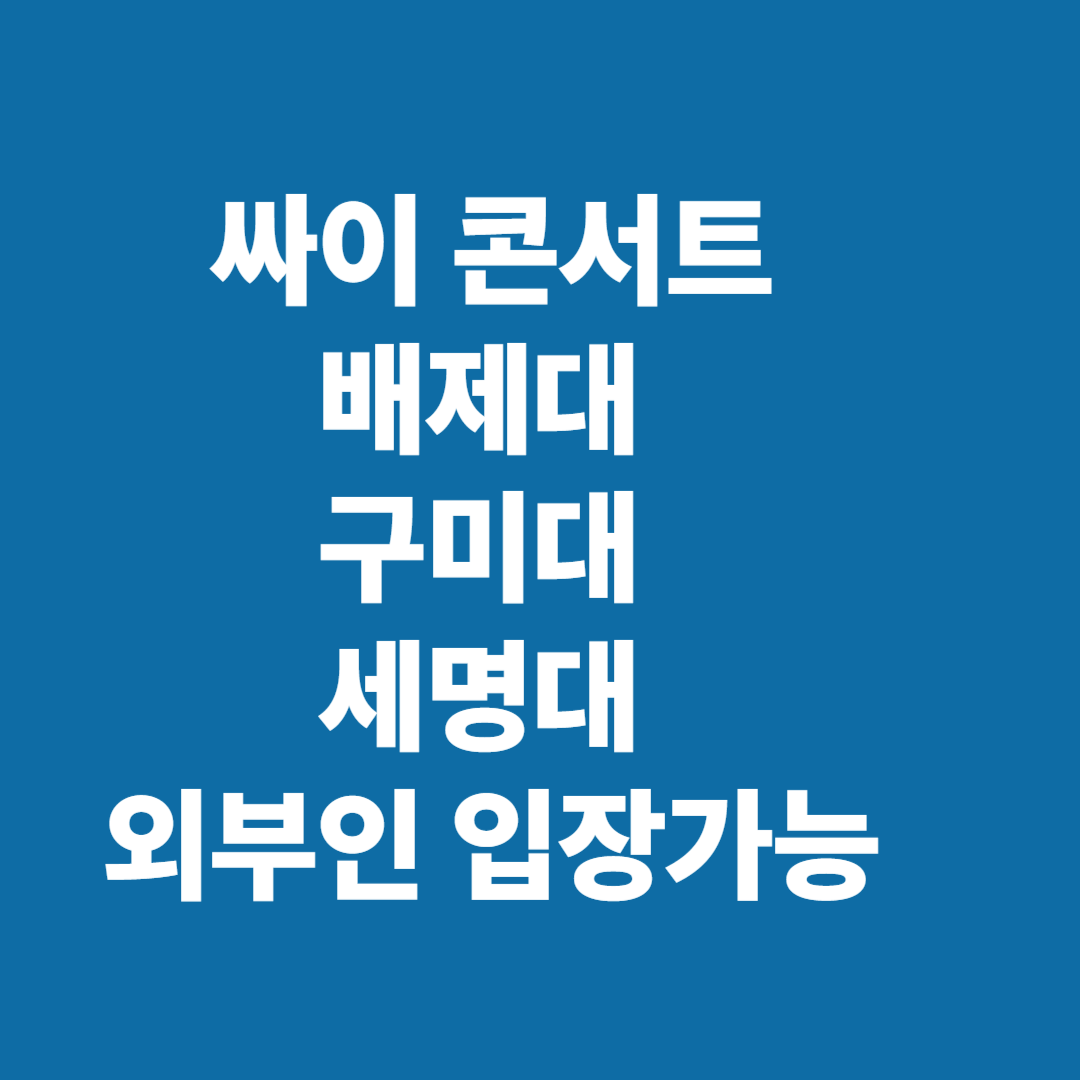 싸이 콘서트