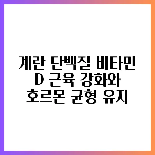 계란 단백질 비타민 D 근육 강화와 호르몬 균형 유지