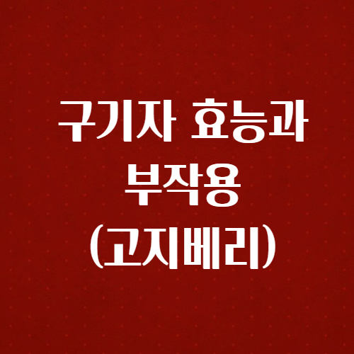  구기자 효능 부작용(고지베리)