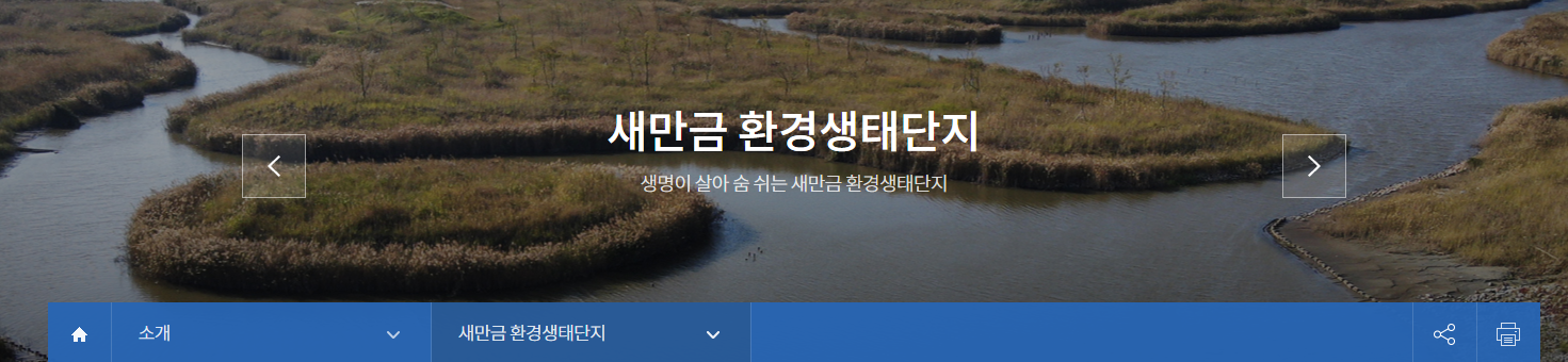  새만금환경생태단지 개장 1주년 기념 생태 체험 행사