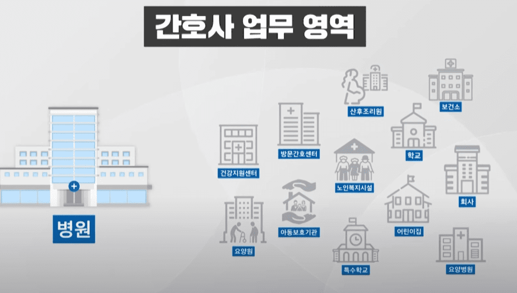 간호사 업무 영역 사진