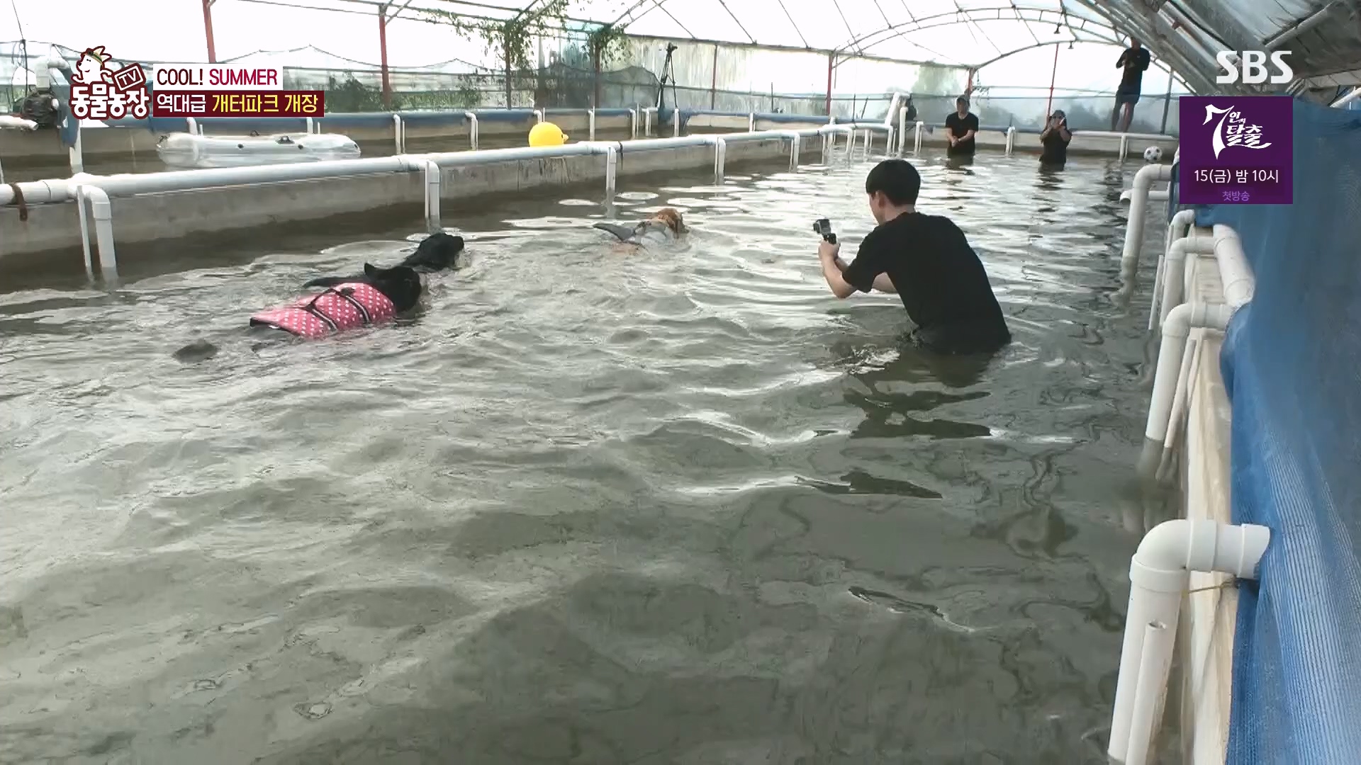 TV 동물농장.E1136.230903p.H264-F1RST.mp4_20230903_180341.099.jpg
