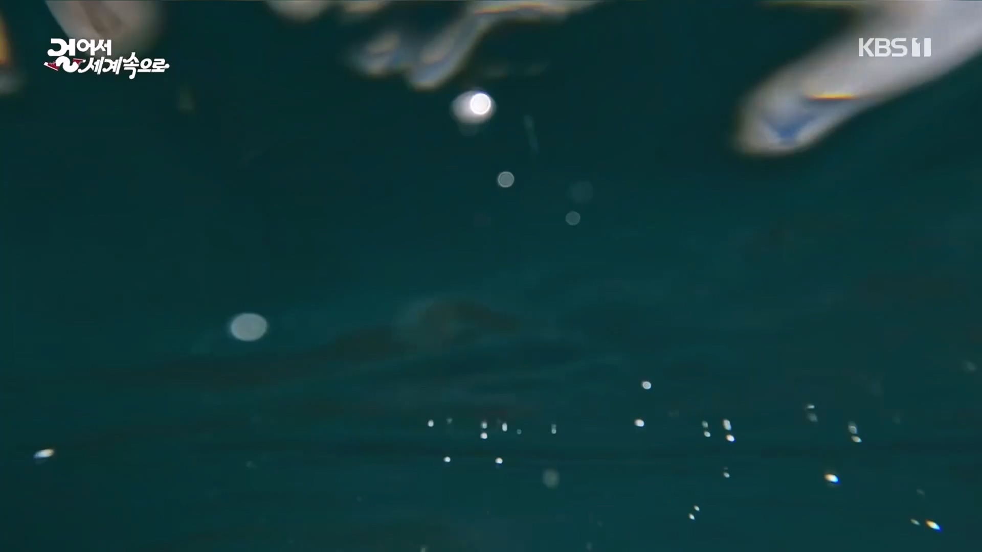걸어서 세계속으로.E810.230930p.H264-F1RST.mp4_20231007_175817.833.jpg