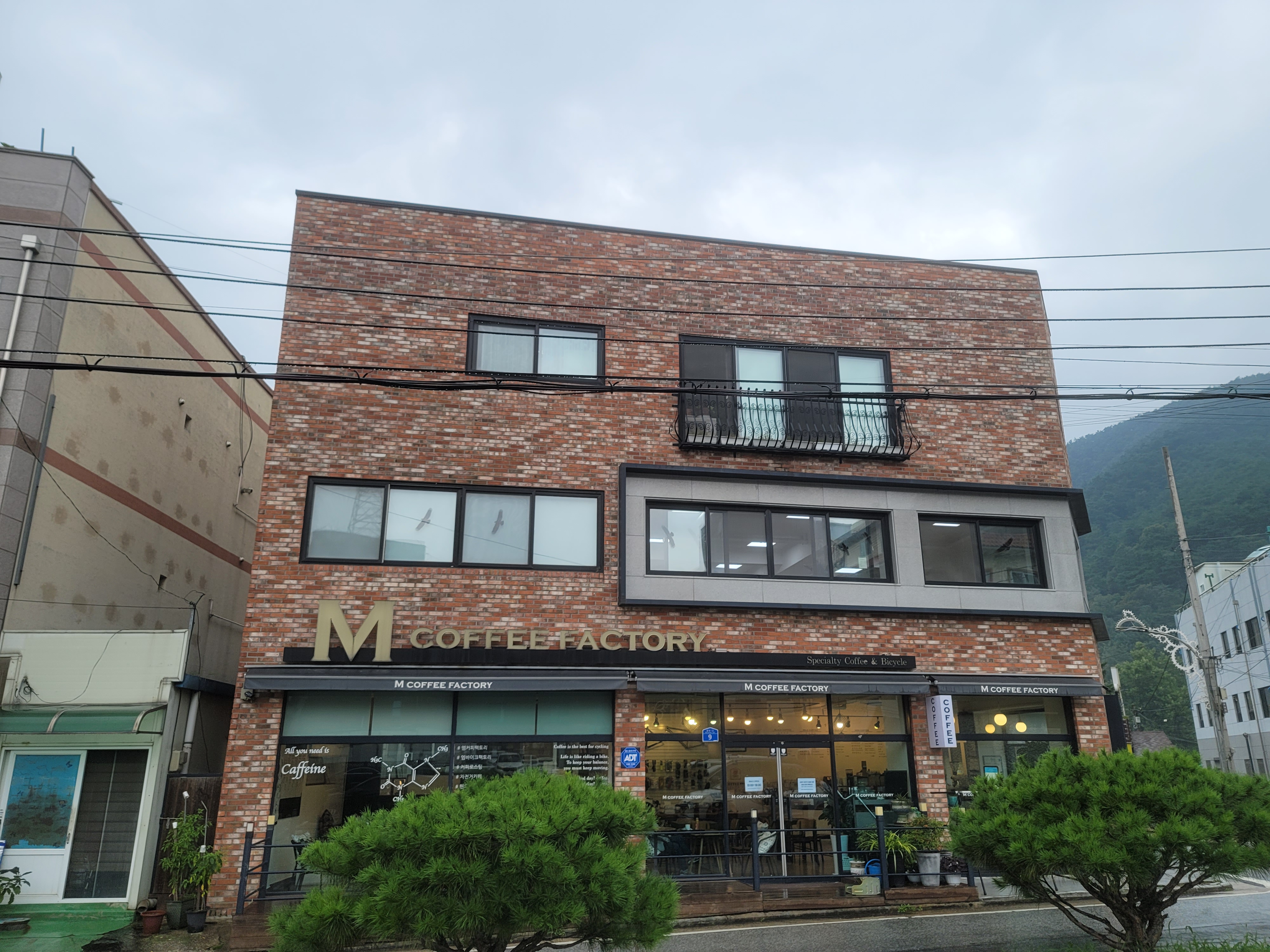 엠커피팩토리 이미지