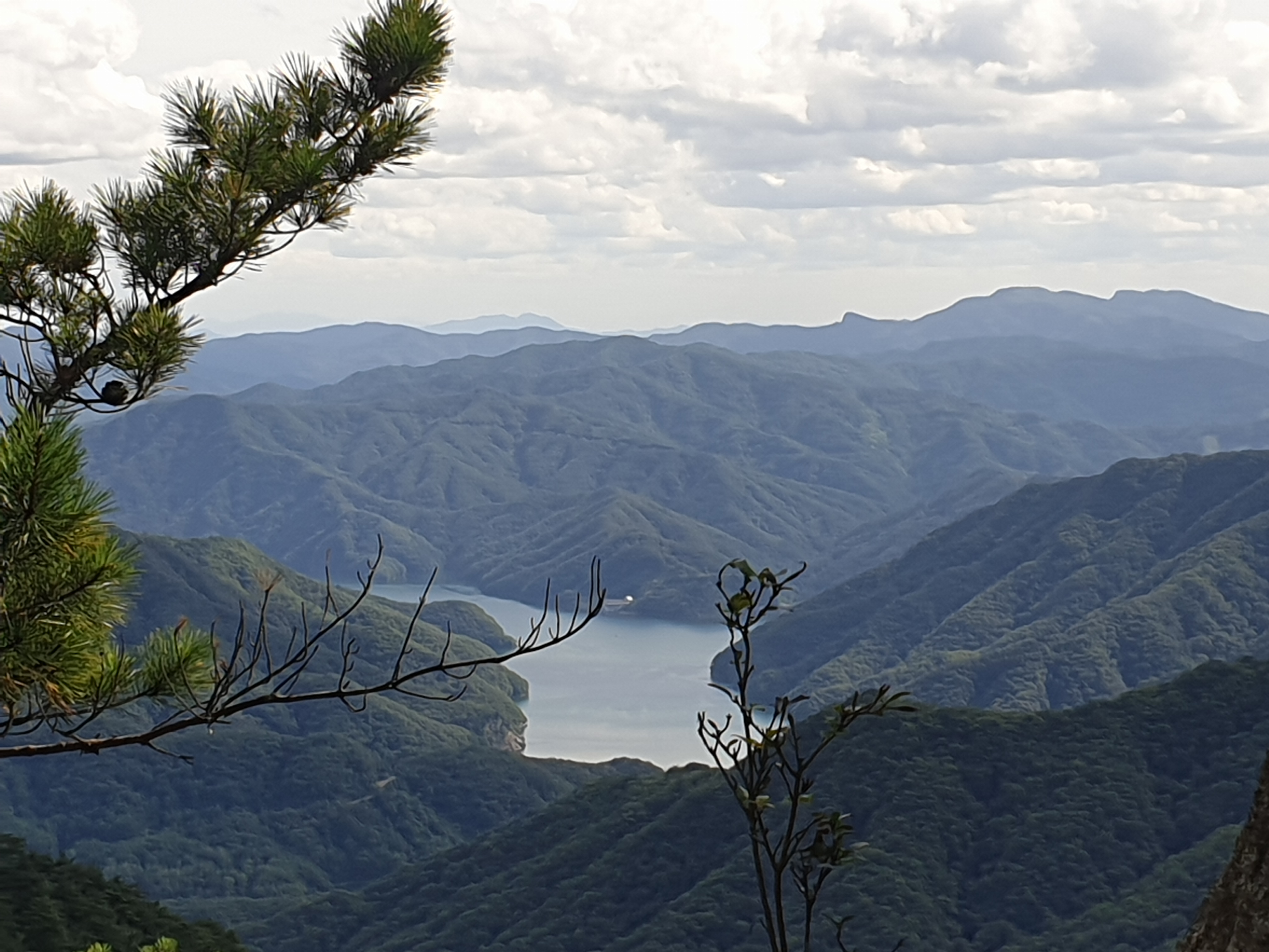 용화산막국수 이미지