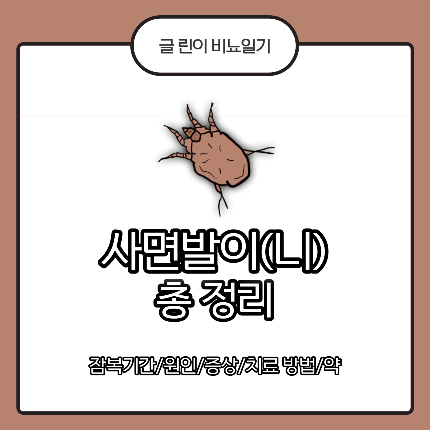  사면발이(니) 총 정리 : 잠복기간/원인/증상/치료 방법/약