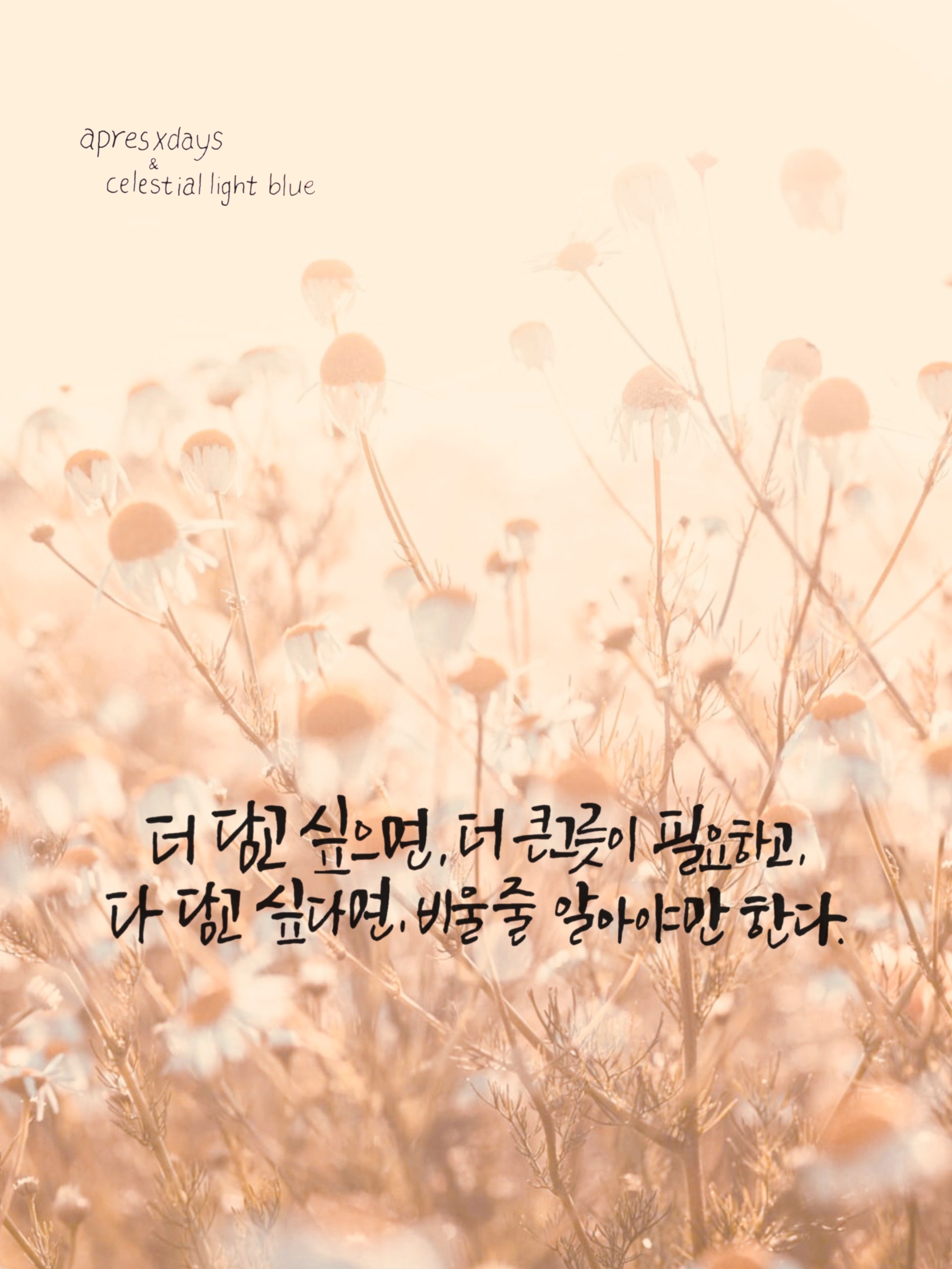  apres x days, 더 담고 싶으면 그리고 다 담고 싶다면.