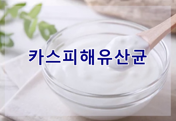  카스피해유산균, 그 효능과 배양방법