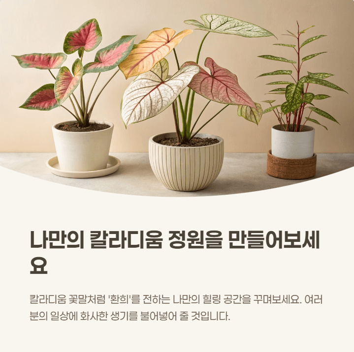 칼라디움