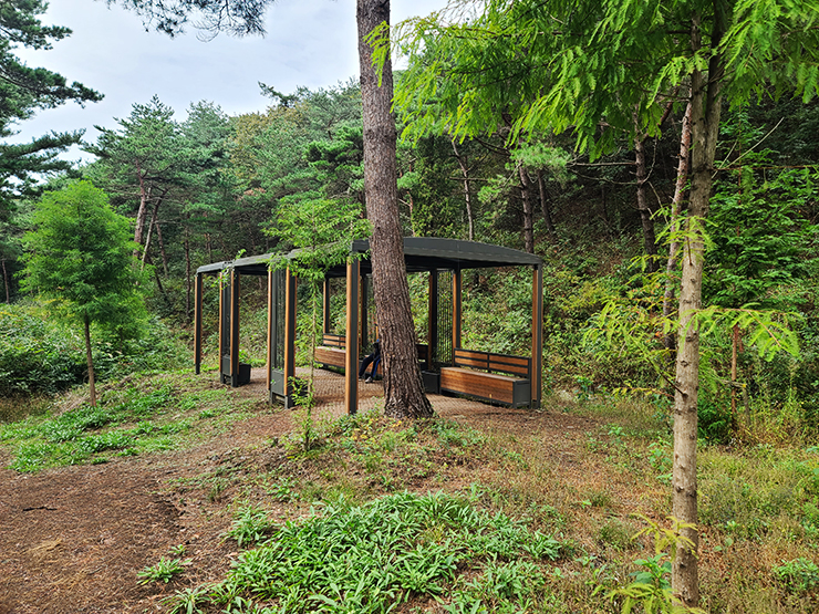 충남 걷기 좋은 숲길 국내여행 걷기 좋은 길, 50