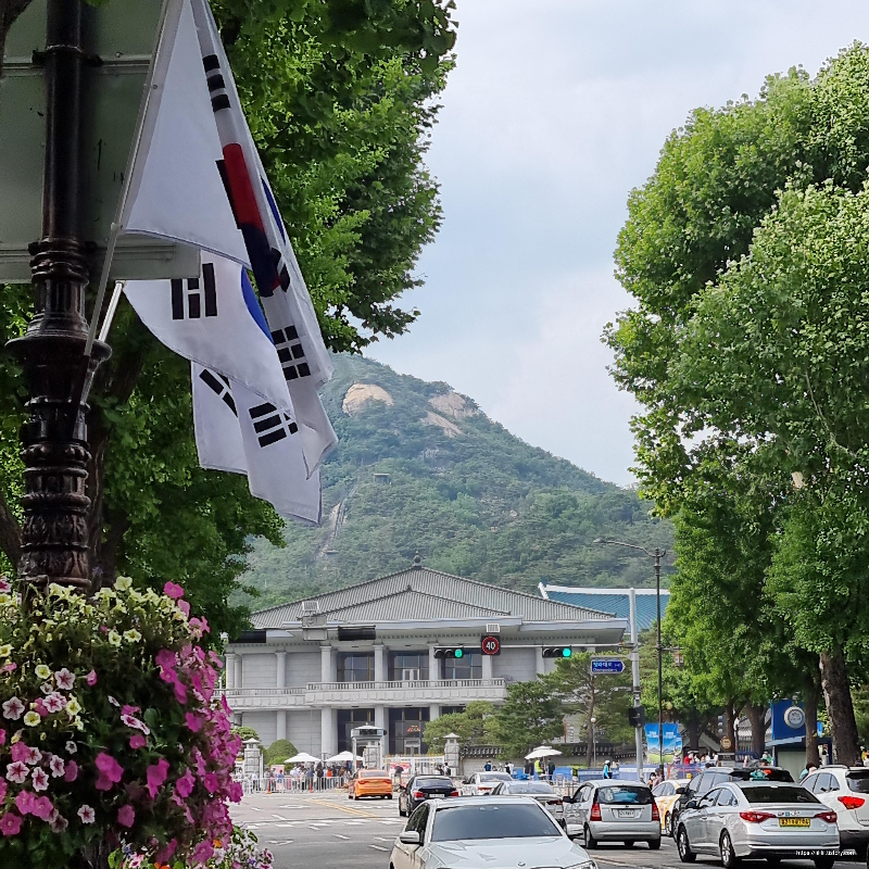 인왕산이-보이는-청와대-배경